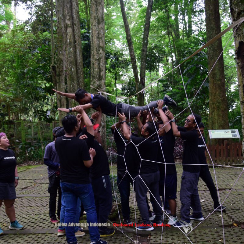 Outbound Team Building Spider web Bellva Adventure