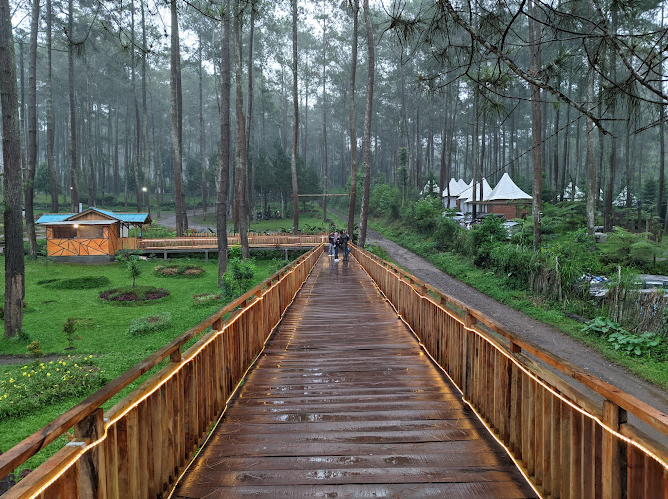 Tempat Wisata Kebon Pines Lembang Bandung Cikole