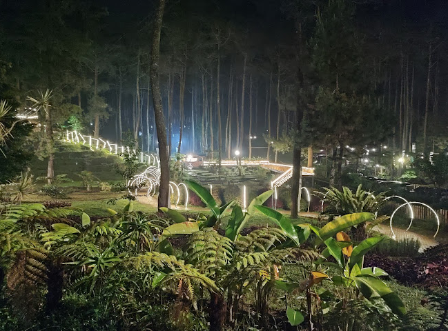 Tempat Wisata Kebon Pines Lembang Bandung Cikole