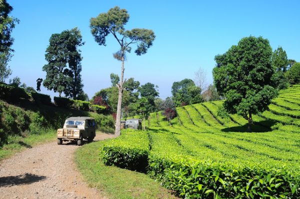 hiking lembang