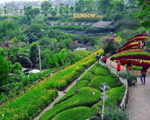 Rainbow Garden (foto: dowes29.com)
