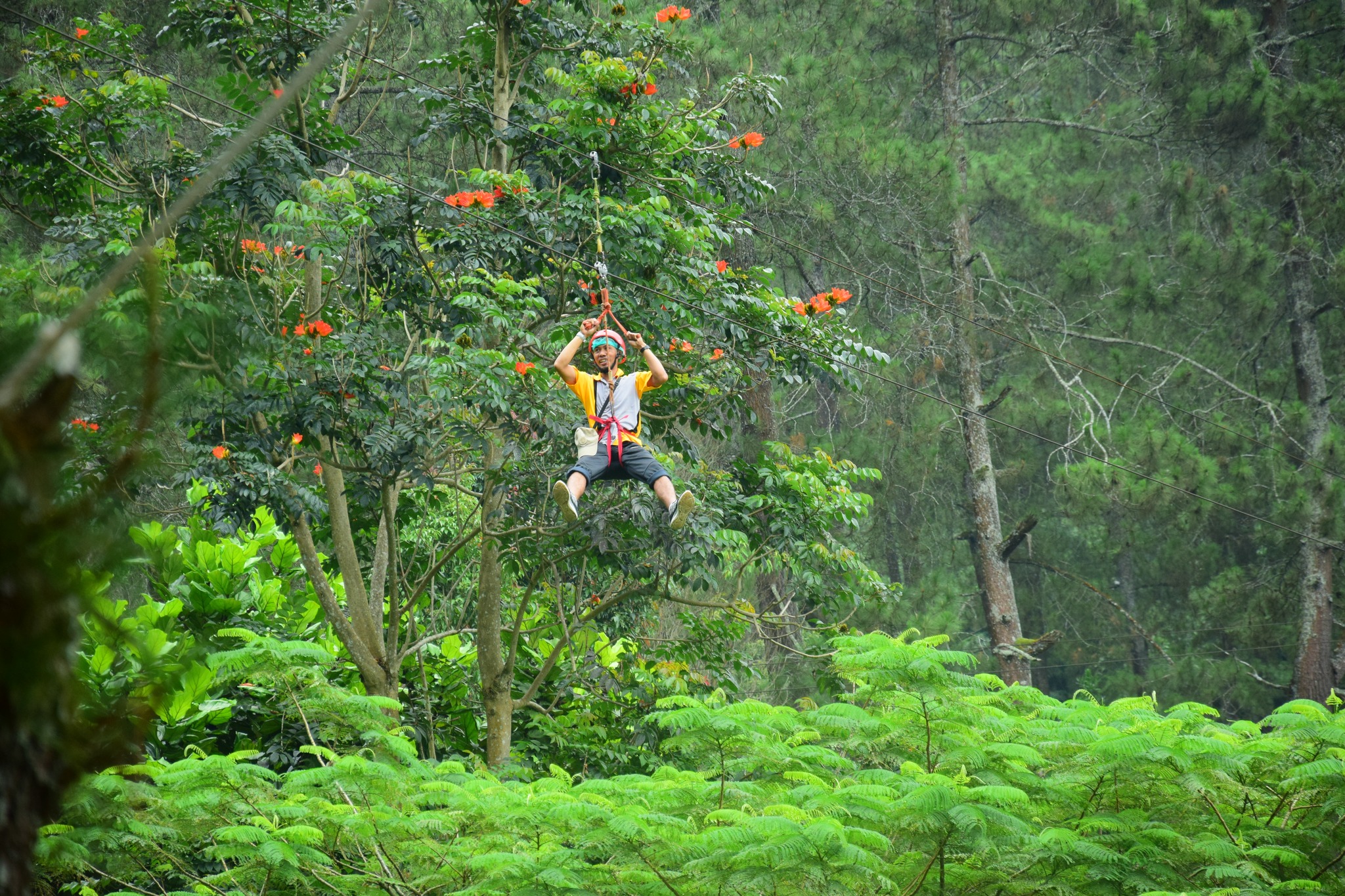 5 Tempat Outbound Terfavorit di Lembang yang Selalu Jadi Andalan HR Perusahaan