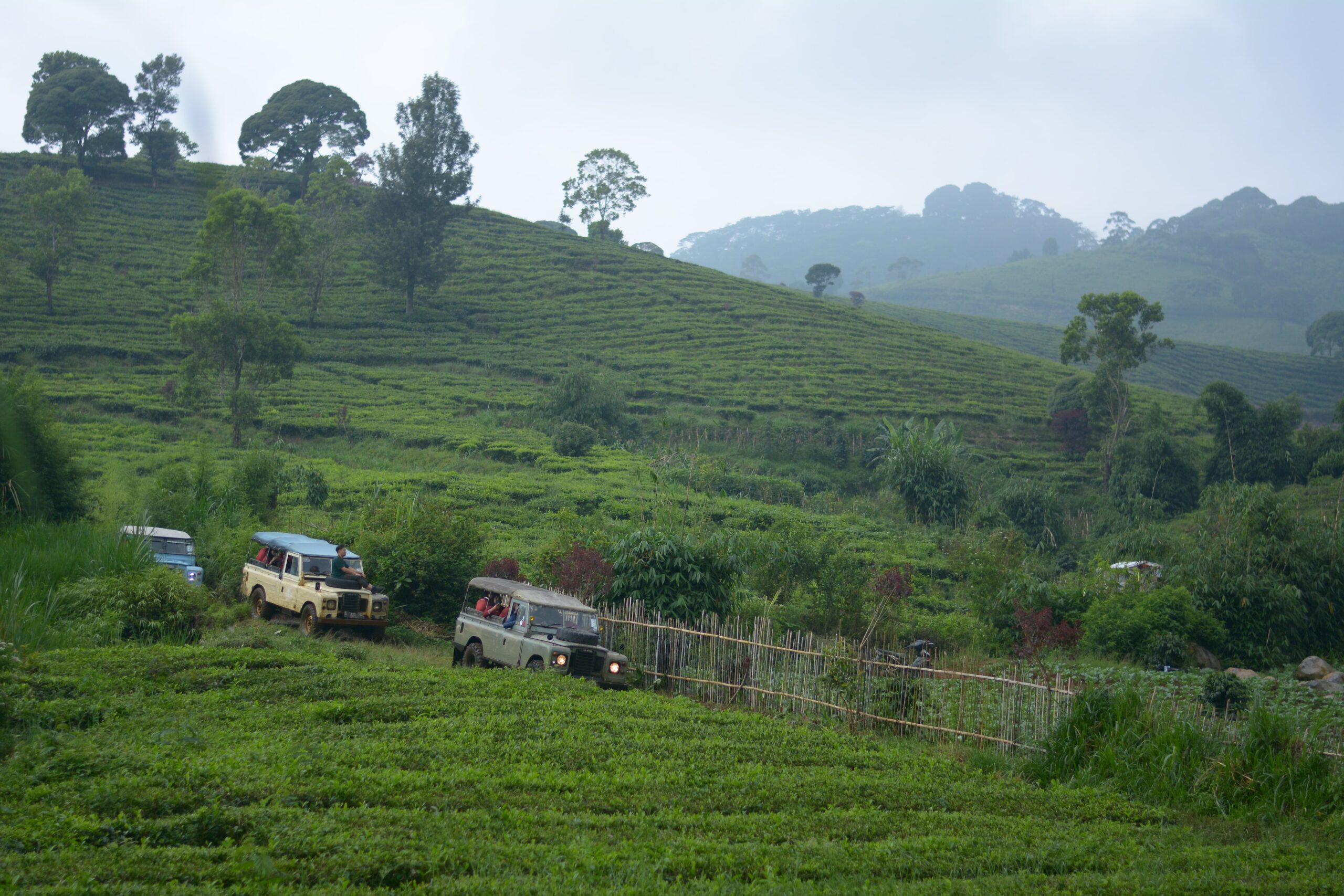 Lewati Kebun Teh dan Rasakan Udara Sejuk, Begini Cara Jelajah Pangalengan dengan Offroad