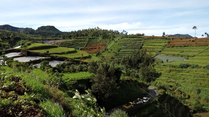 EO Dieng