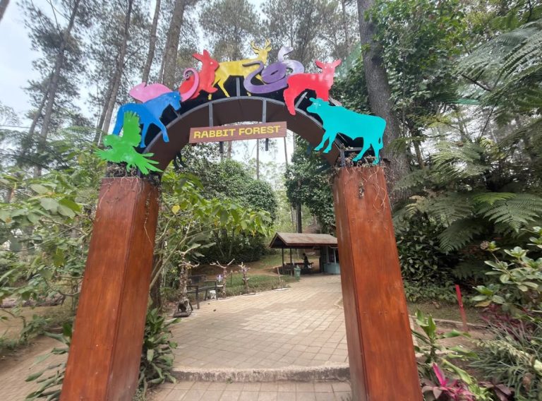 orchid forest cikole