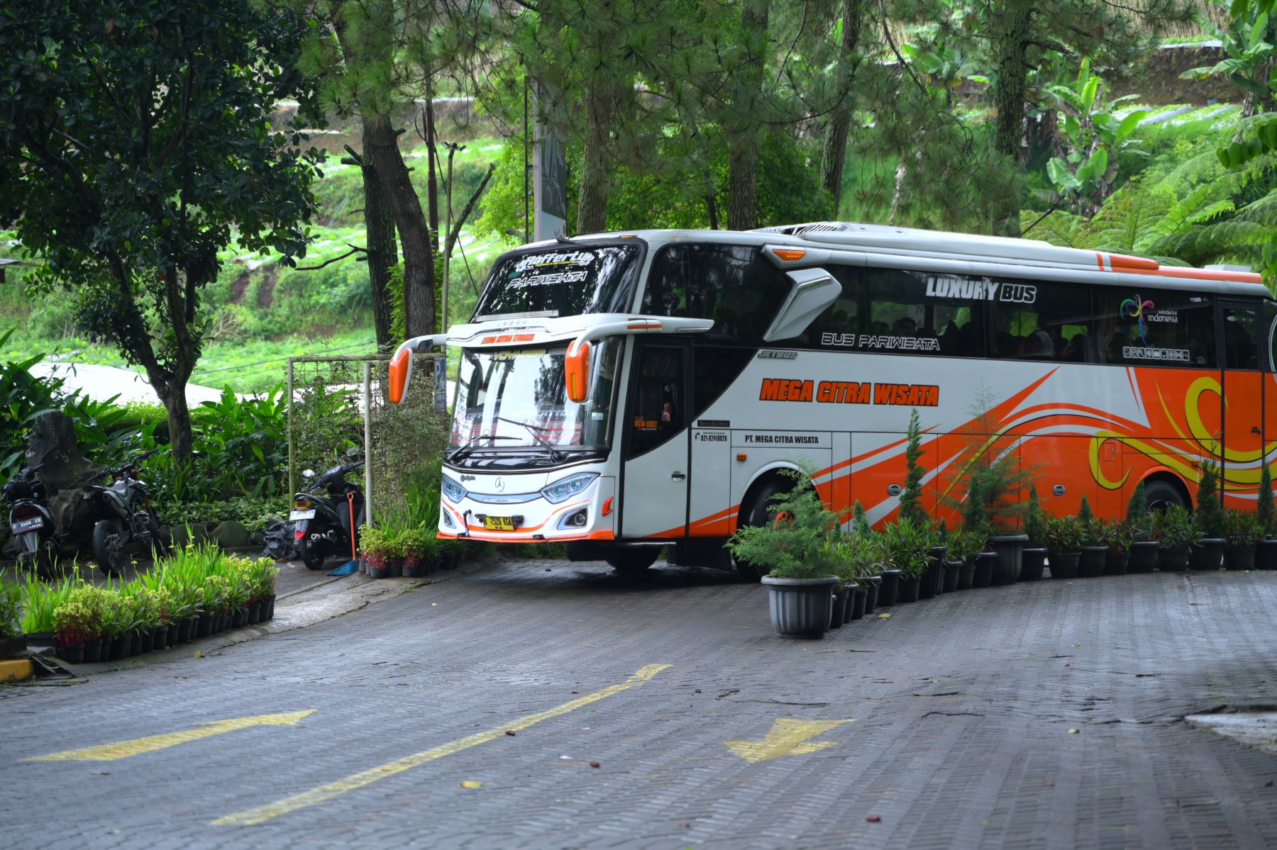 Sewa Bus Pariwisata Bandung Tujuan Tangkuban Perahu, Rombongan Besar Bisa Liburan Tanpa Drama di Jalan